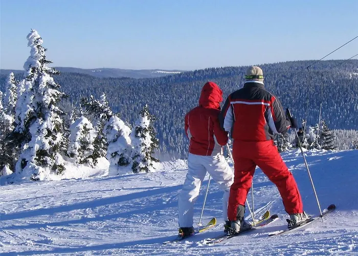 Apartma Delavska * マリボル